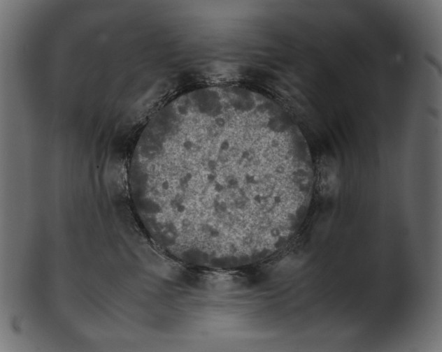 X0000100880523200807181302