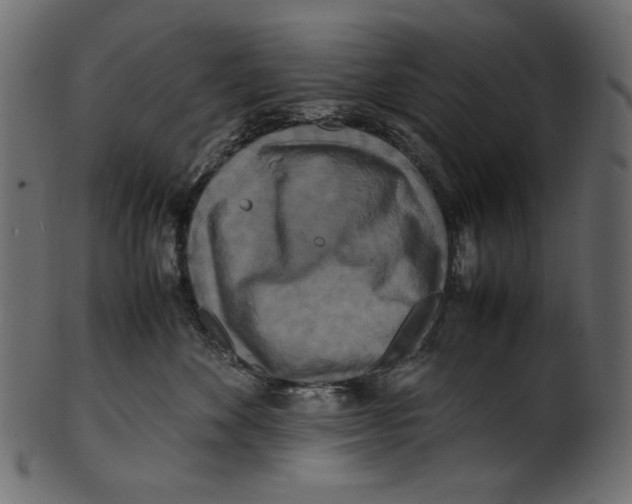 X0000100880524200807181302