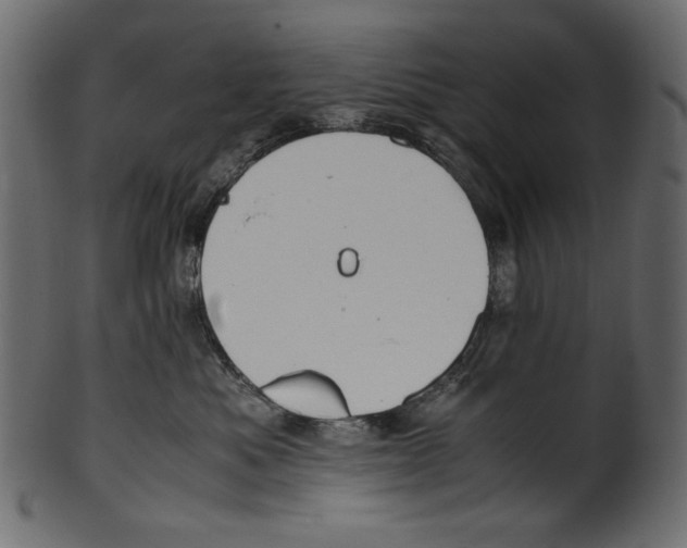 X0000100880525200807181302