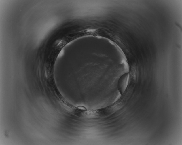 X0000100880526200807181302