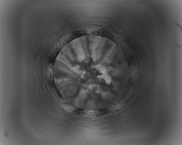 X0000100880527200807181302