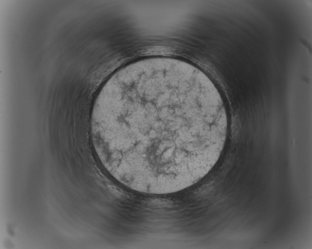 X0000100880529200807181301