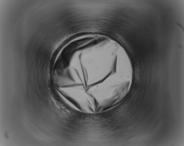 X0000100880532200807181301