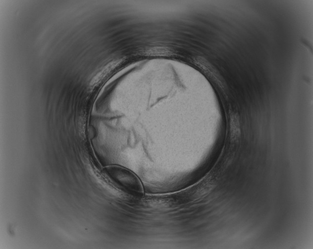 X0000100880533200807181301