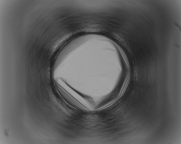 X0000100880535200807181301