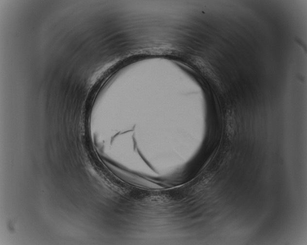 X0000100880536200807181301