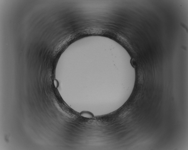 X0000100880538200807181301