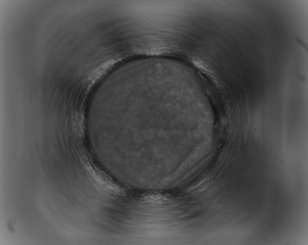 X0000100880540200807181301