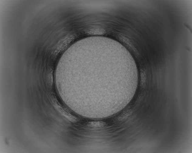 X0000100880541200807181301