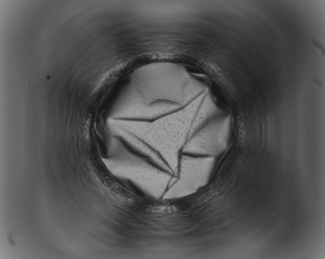 X0000100880543200807181301