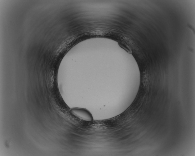 X0000100880544200807181301