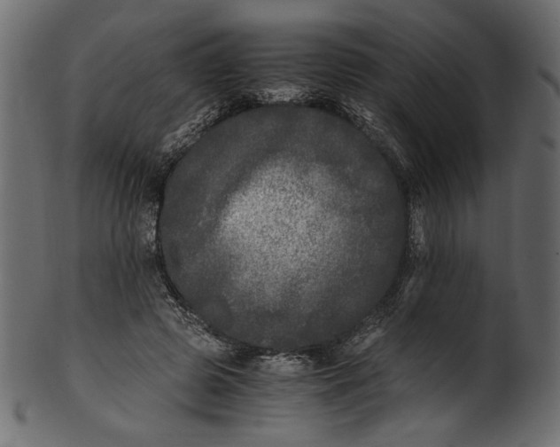 X0000100880545200807181301