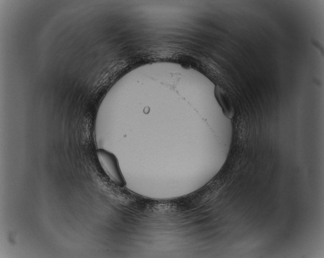 X0000100880546200807181301