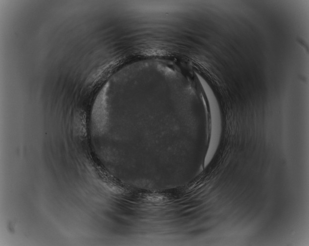 X0000100880547200807181301