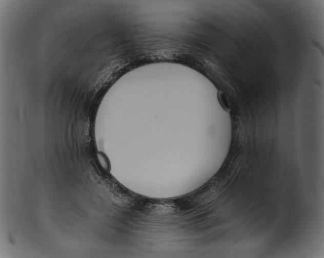 X0000100880548200807181301