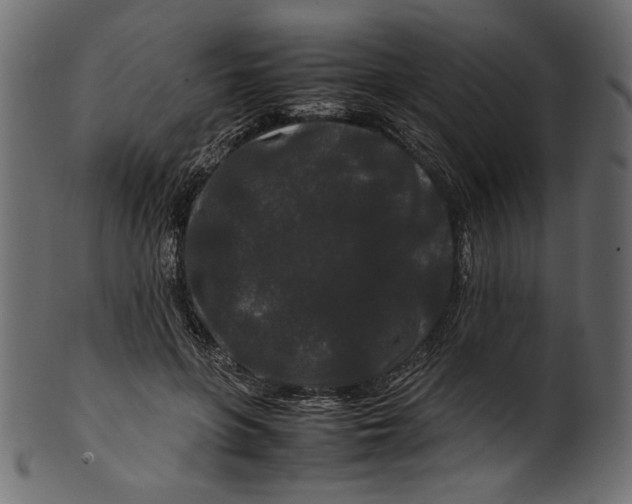 X0000100880551200807181301