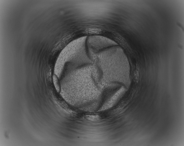 X0000100880552200807181301