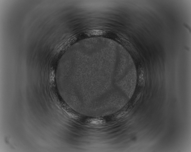 X0000100880555200807181301