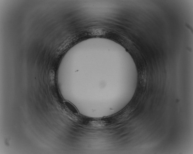 X0000100880556200807181301