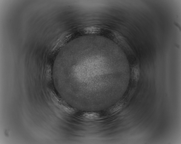 X0000100880557200807181301