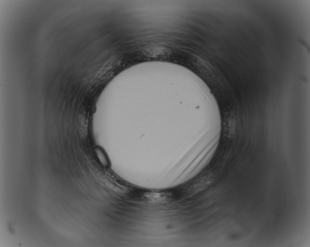 X0000100880558200807181301