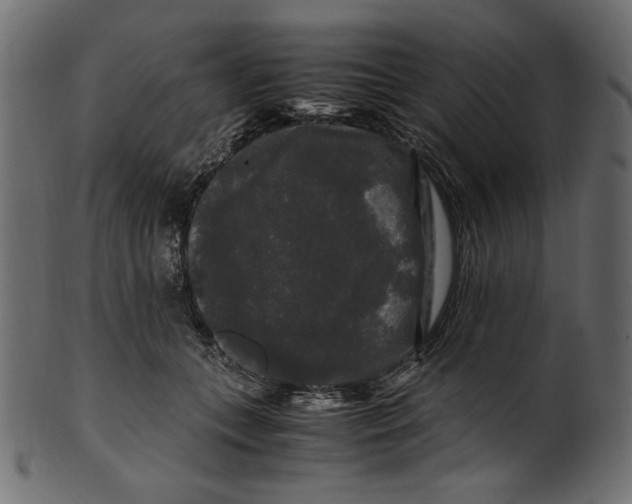 X0000100880559200807181301