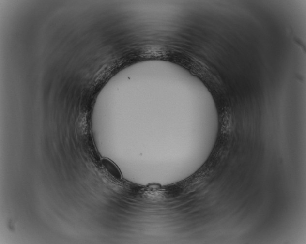 X0000100880560200807181301