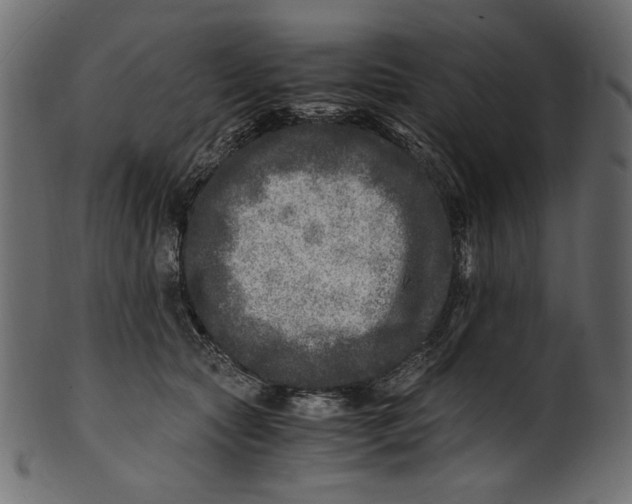 X0000100880561200807181302