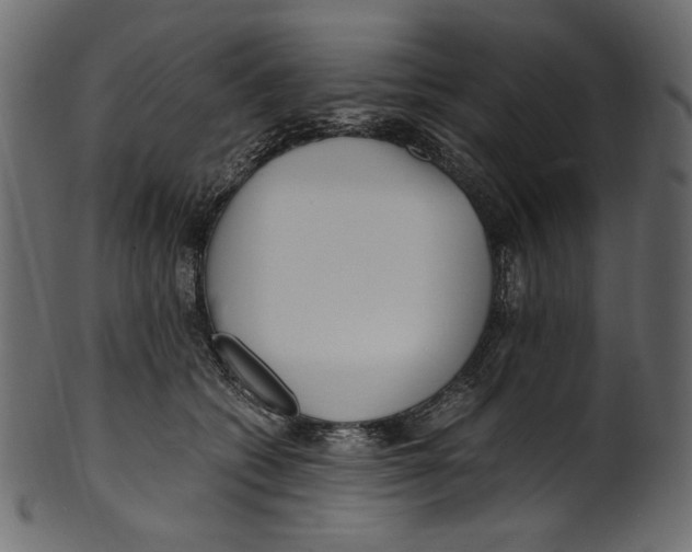 X0000100880562200807181302