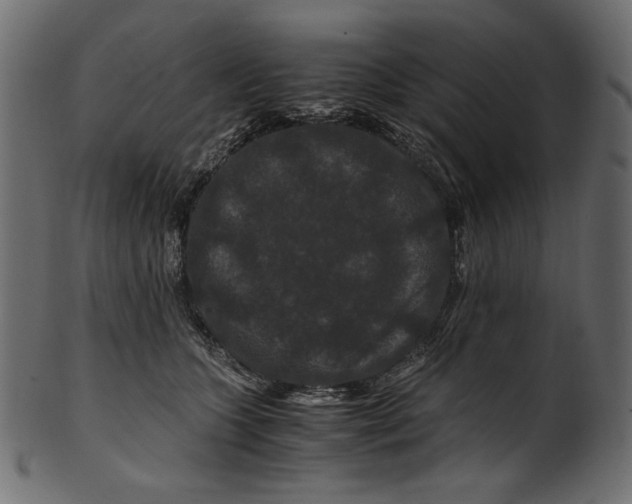 X0000100880563200807181302