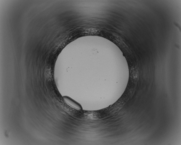 X0000100880564200807181302