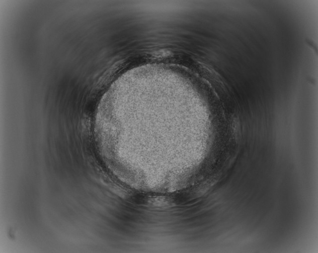 X0000100880565200807181302