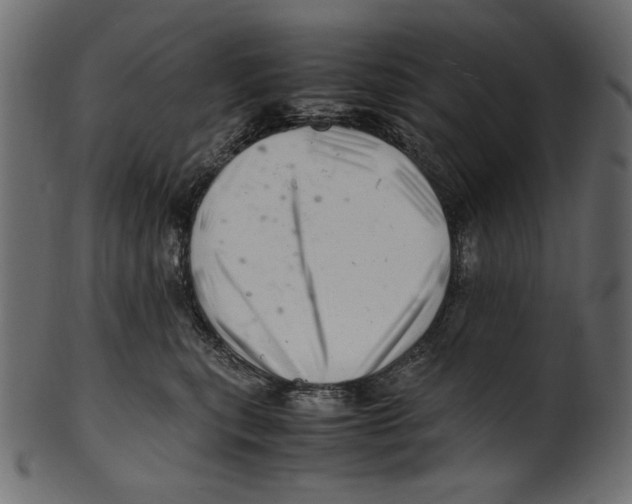 X0000100880567200807181302