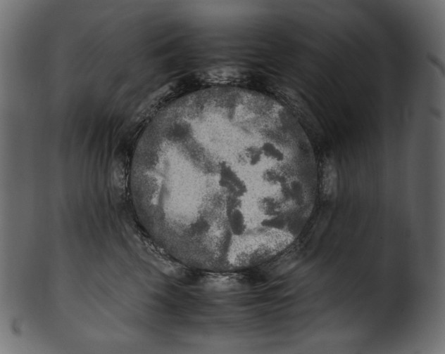 X0000100880569200807181302