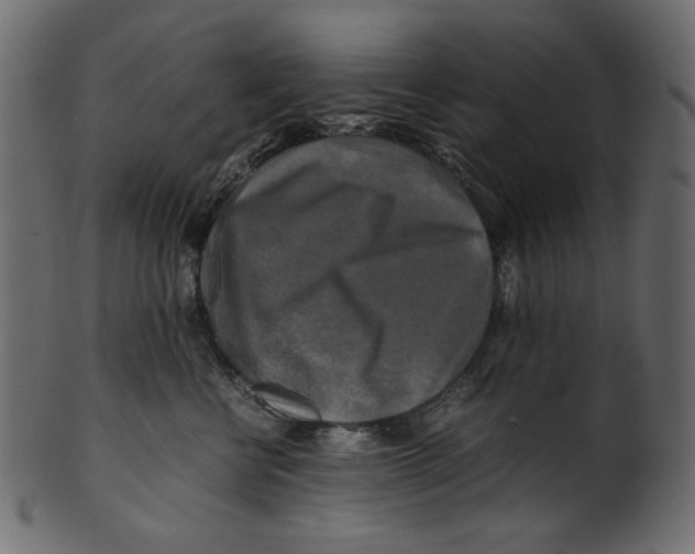 X0000100880570200807181302