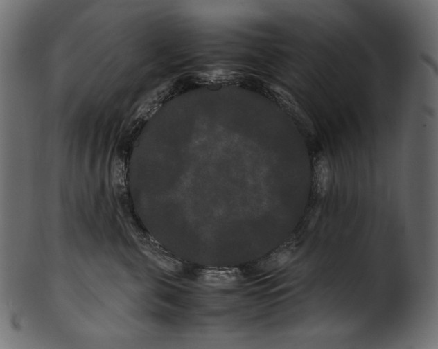 X0000100880571200807181302