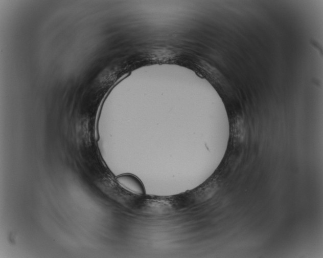 X0000100880572200807181302