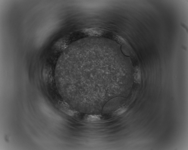 X0000100880573200807181302