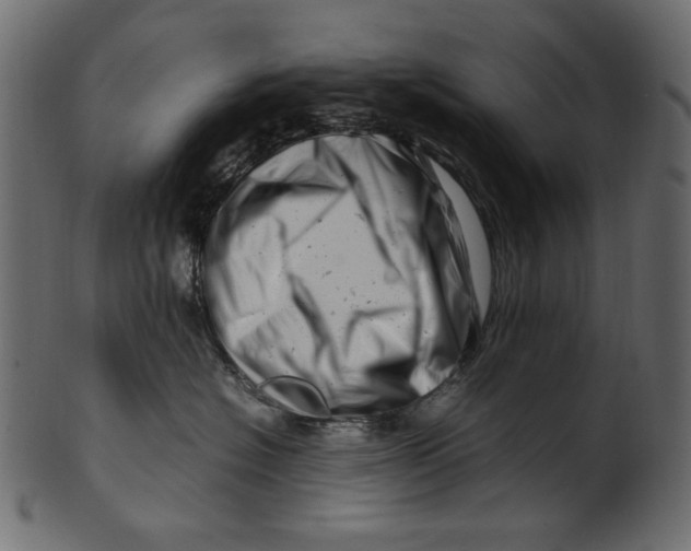 X0000100880574200807181302