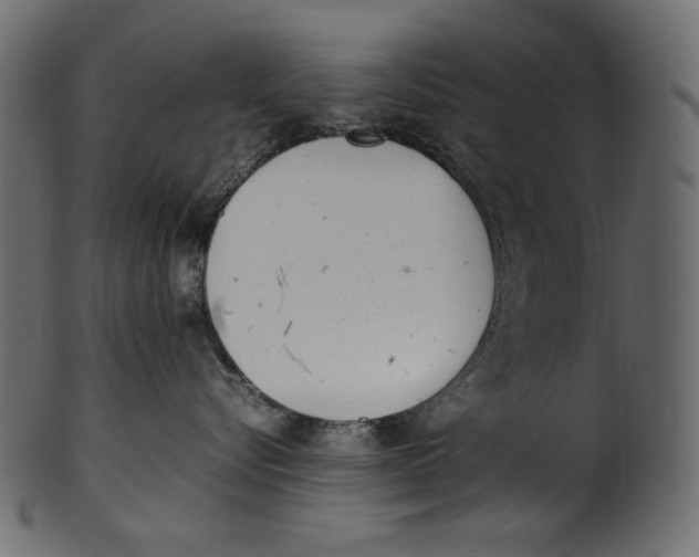 X0000100880576200807181302