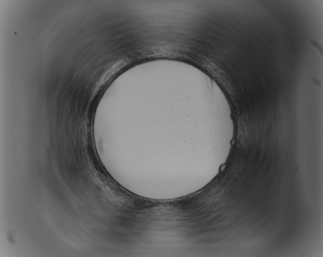 X0000100880578200807181301