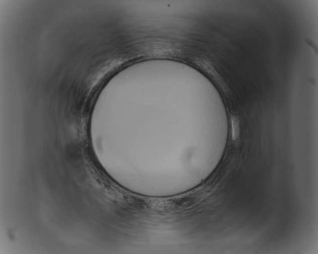 X0000100880579200807181301