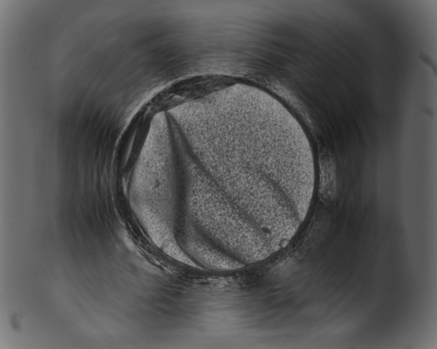 X0000100880580200807181301