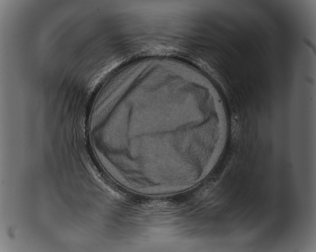 X0000100880581200807181301