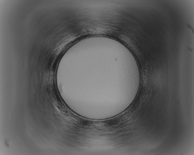 X0000100880583200807181301