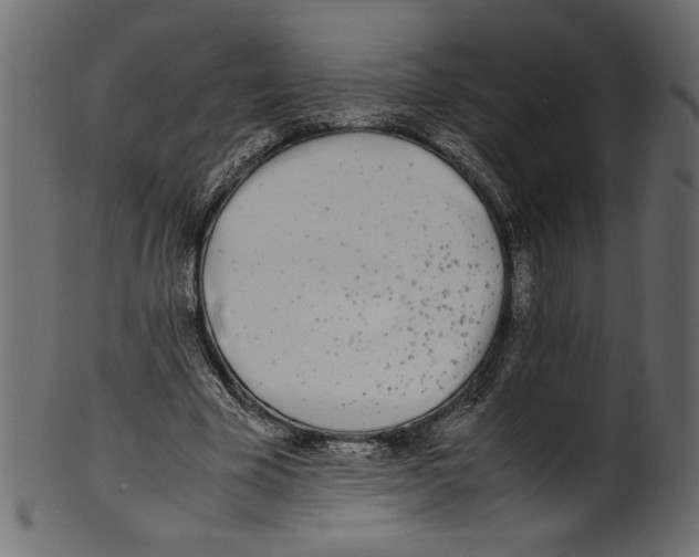 X0000100880585200807181301