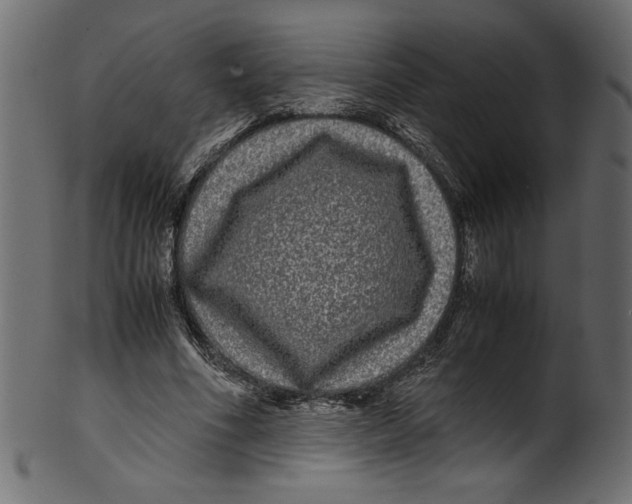 X0000100880586200807181301