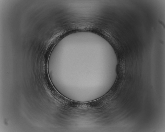 X0000100880587200807181301