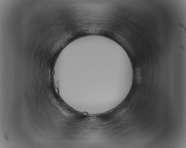 X0000100880589200807181301