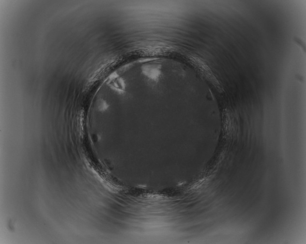 X0000100880590200807181301